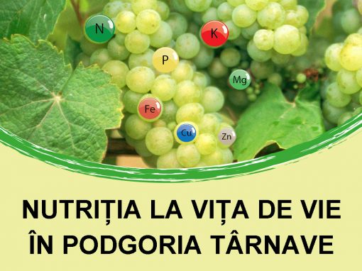 Coperta brosura SCDVV Blaj