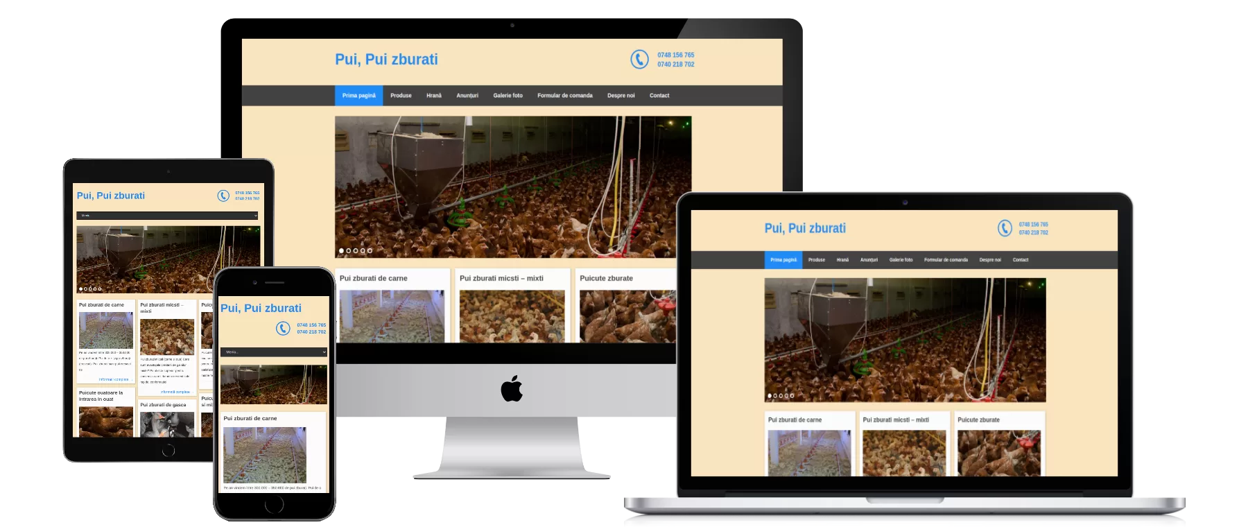 ferma pui responsive design
