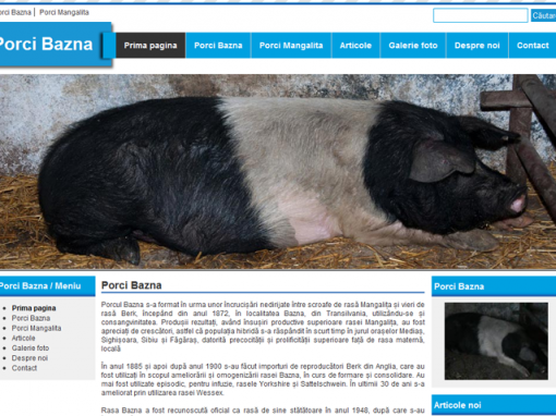 Porci Bazna