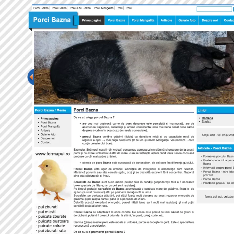 porci bazna