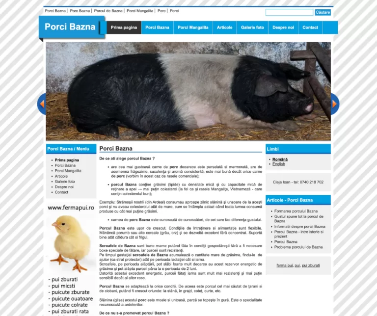 porci bazna