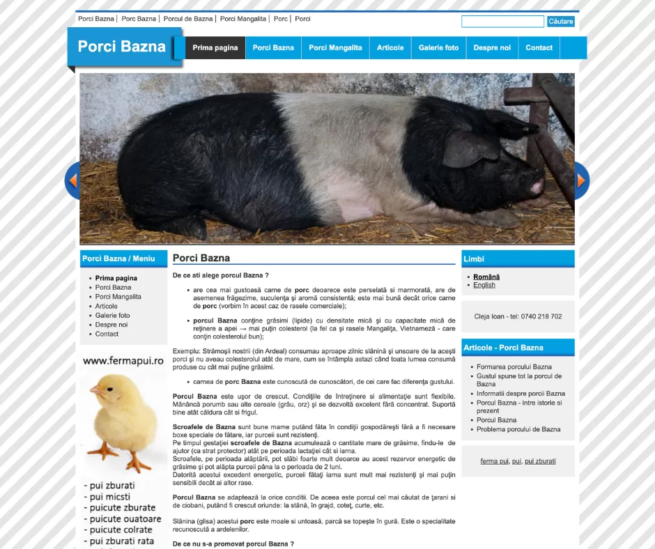 porci bazna