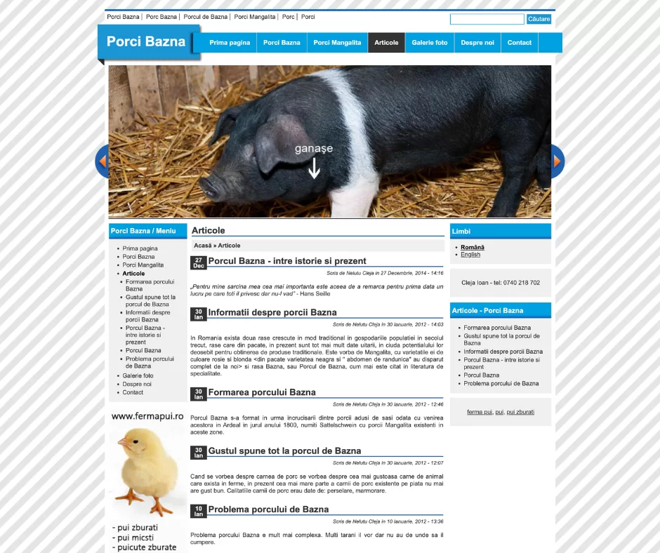 porci bazna articole