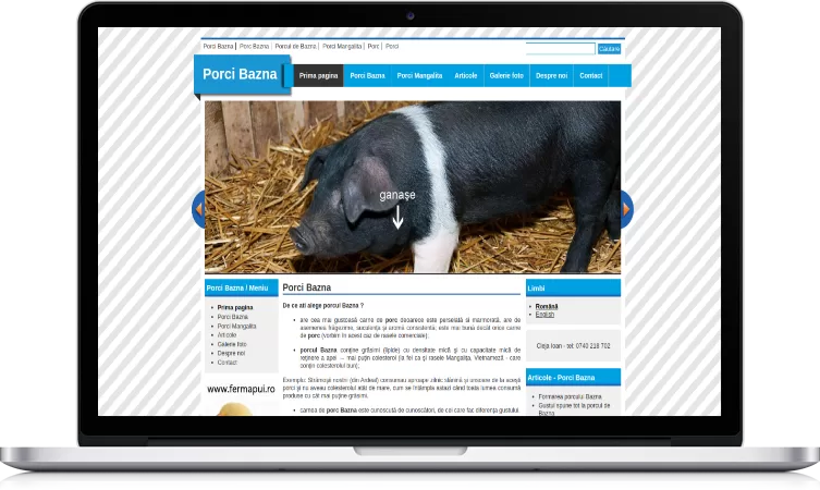 porci bazna laptop