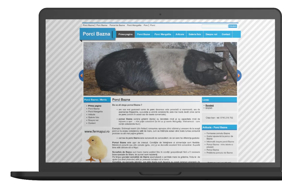 porci bazna mockup