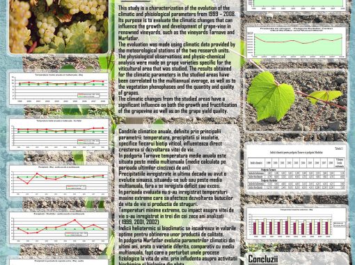 Poster 1 SCDVV Blaj