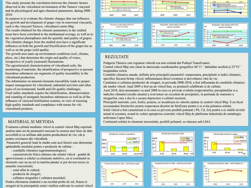 Poster 10 SCDVV Blaj
