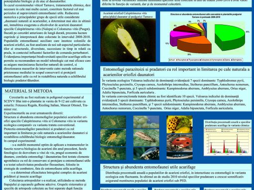 Poster 11 SCDVV Blaj