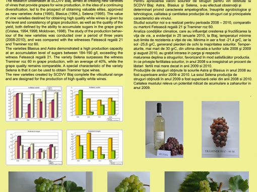 Poster 12 SCDVV Blaj