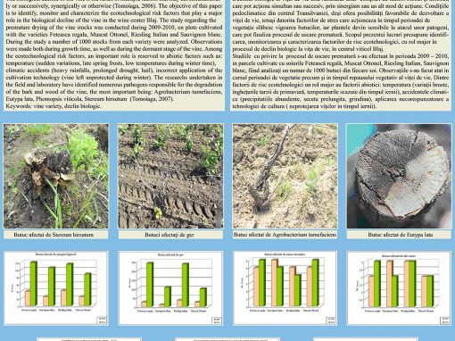 Poster 13 SCDVV Blaj