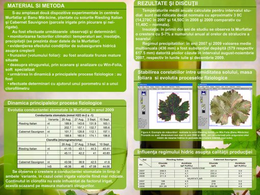 Poster 2 SCDVV Murfatlar