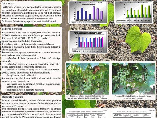 Poster 3 SCDVV Murfatlar