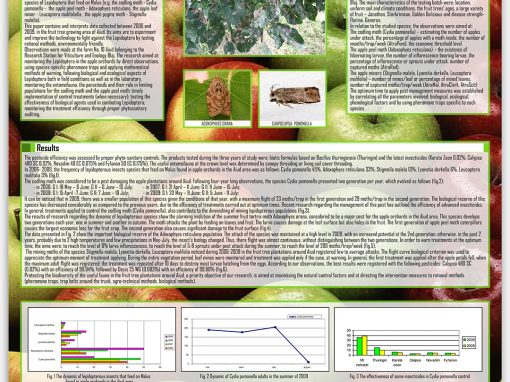 Poster 4 SCDVV Blaj