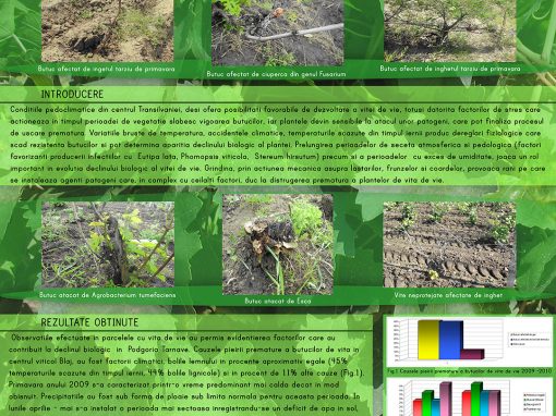 Poster 5 SCDVV Blaj