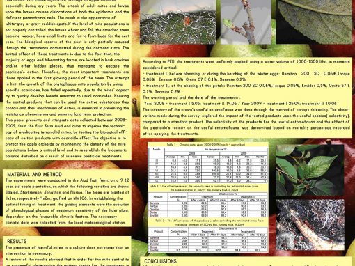 Poster 9 SCDVV Blaj